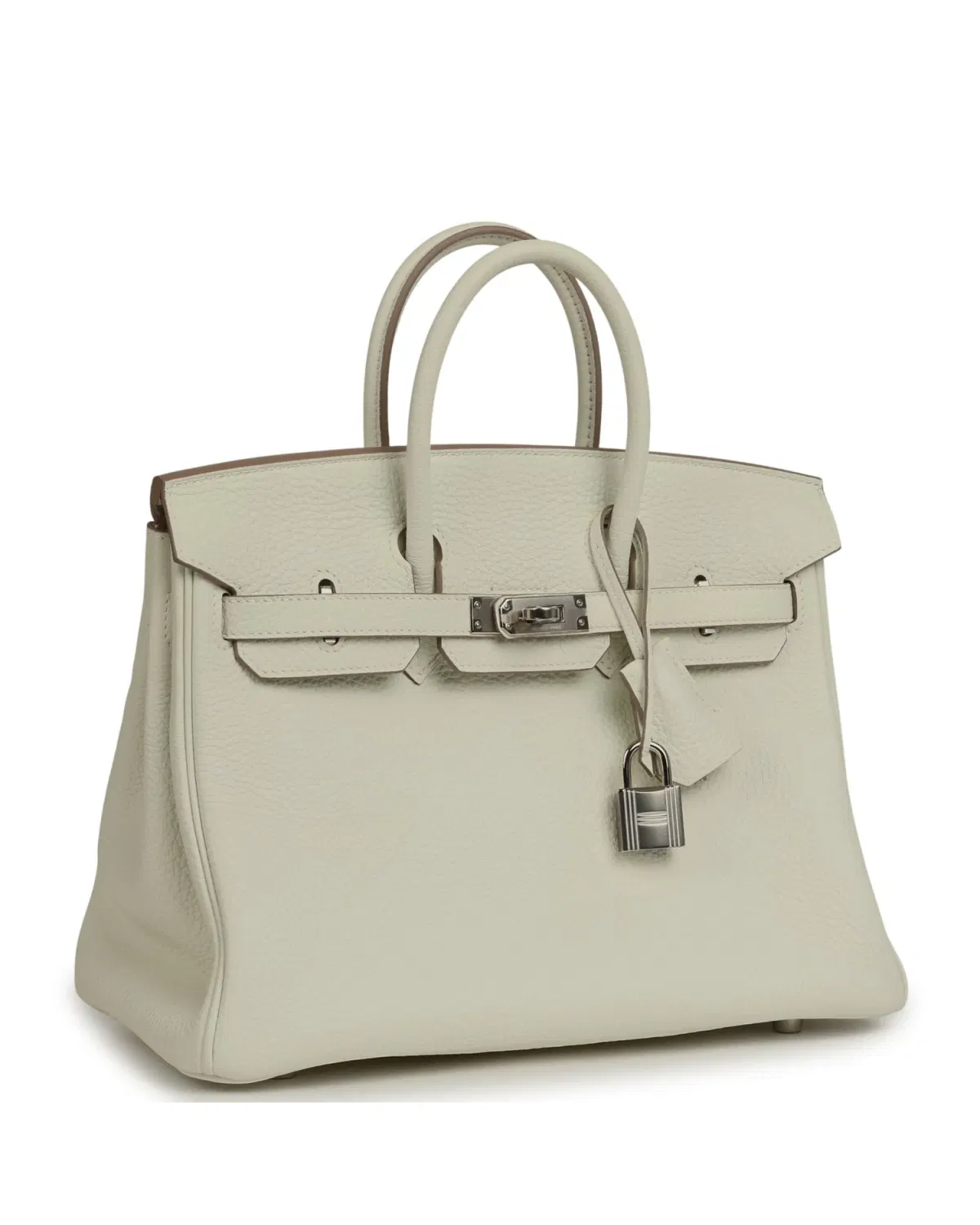 Hermès Birkin 25, Mushroom