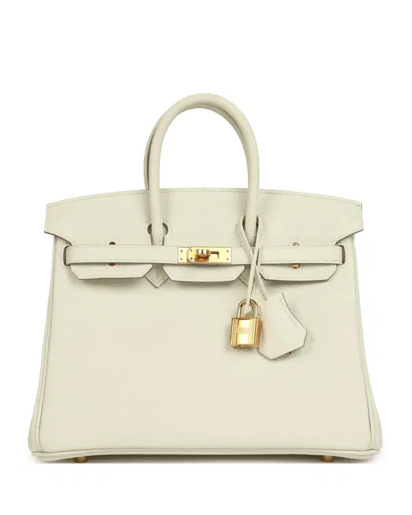 Hermès Birkin 25, Mushroom