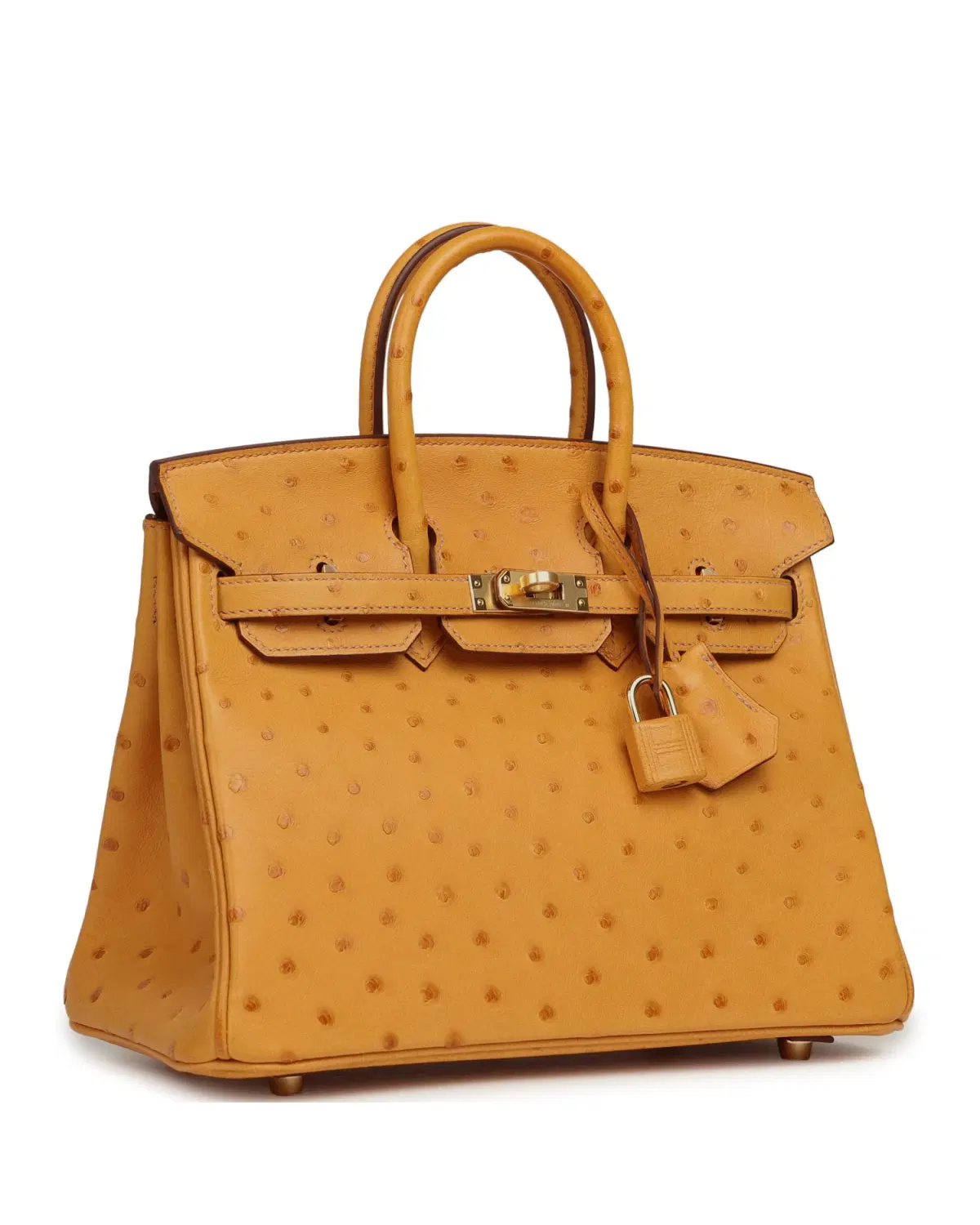 Hermès Birkin 25, Safran
