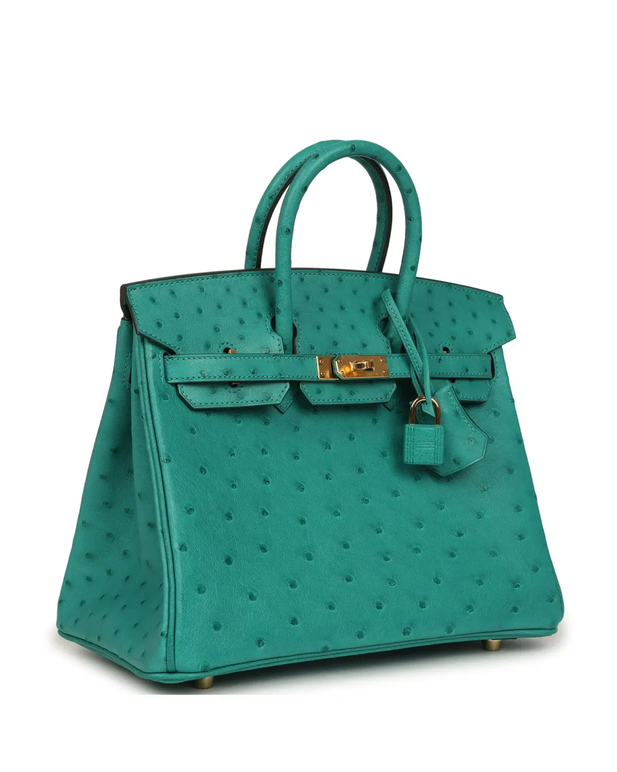 Hermès Birkin 25, Vert Vérone